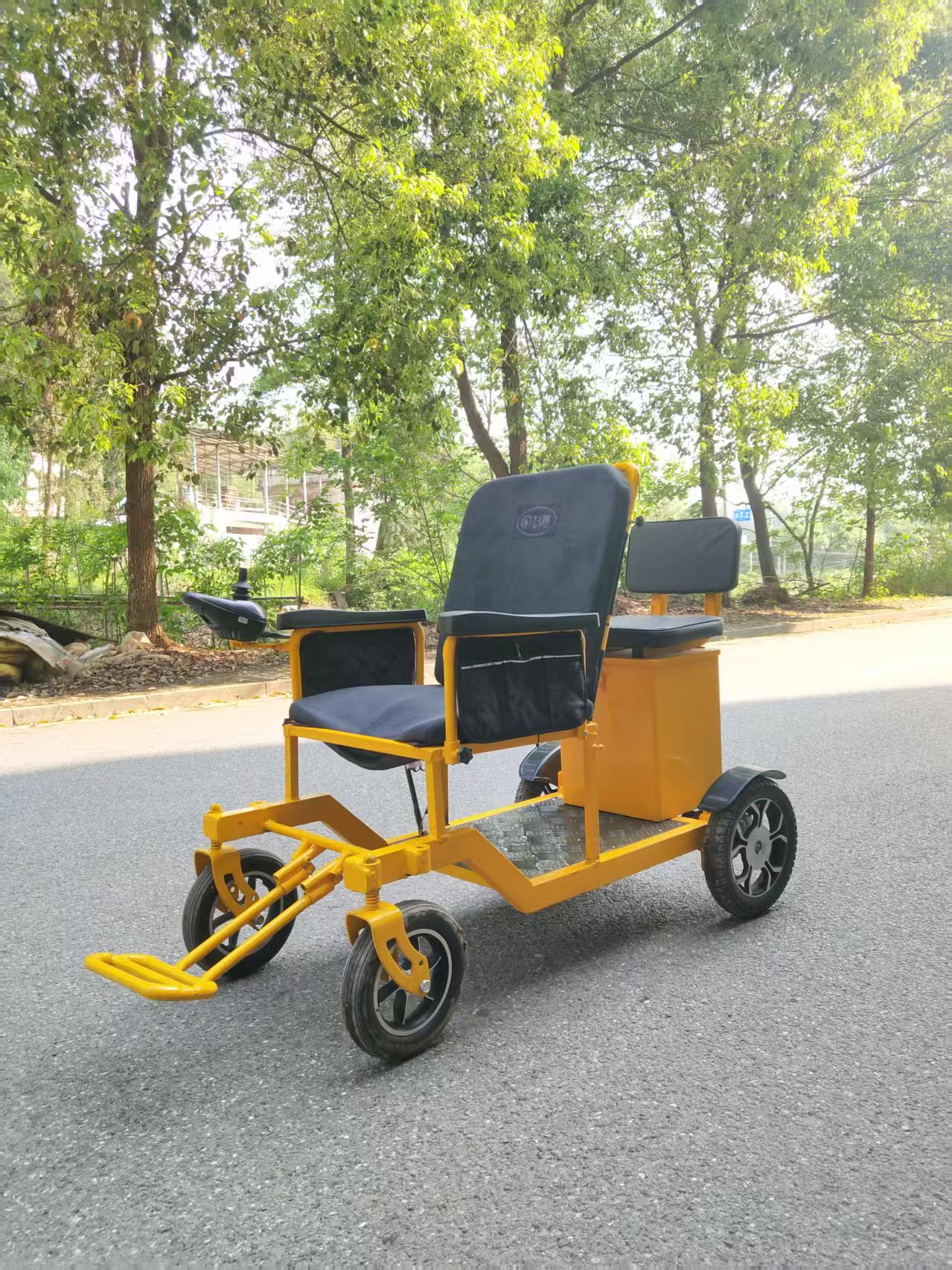 老年代步車2